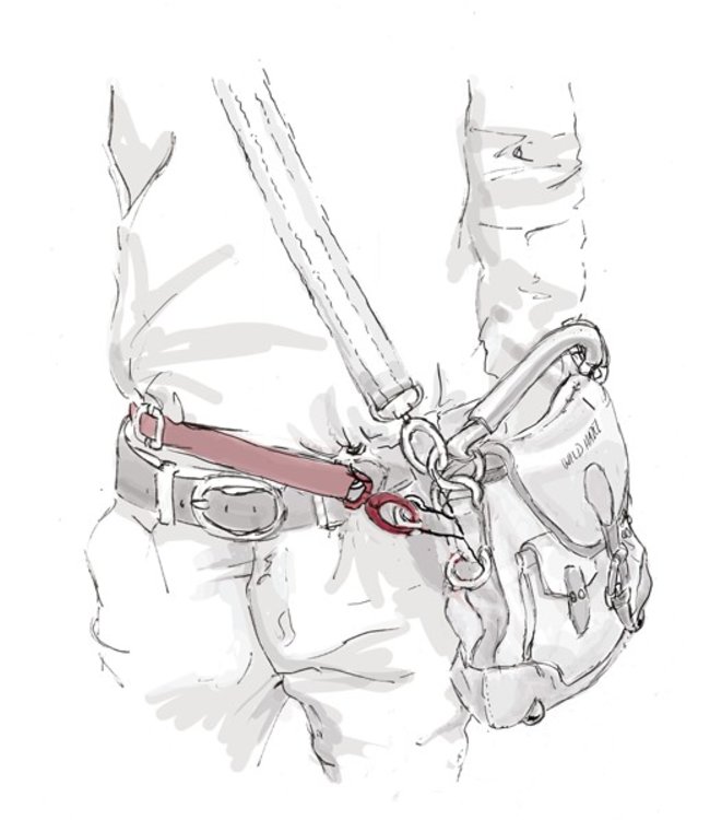 Wild Hazel - Smart Hazel