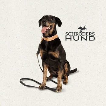 Schröders Hund