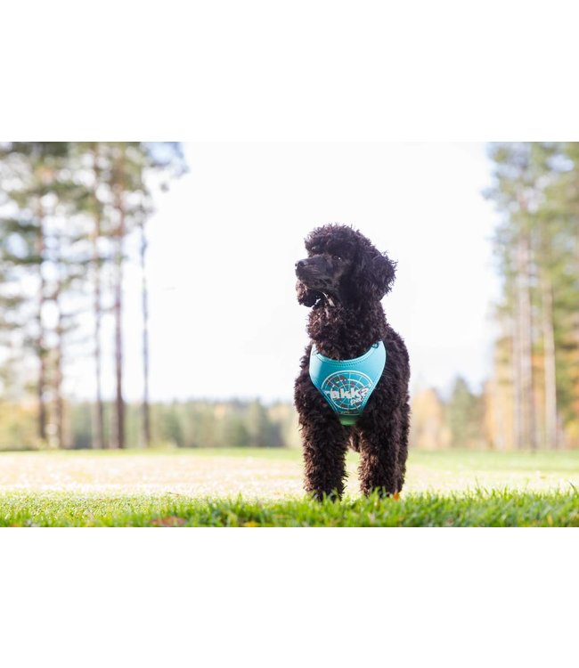 Rukka Pets - Hundegeschirr Mini Comfort Flash