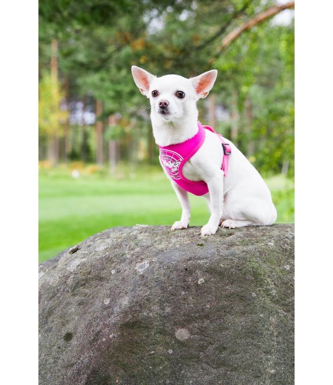 Rukka Pets - Hundegeschirr Mini Comfort Flash