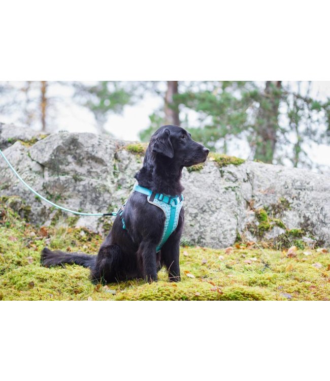 Rukka Pets - Hundegeschirr Laser - Größen XS