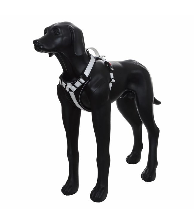 Rukka Pets - Hundegeschirr Solid black/white