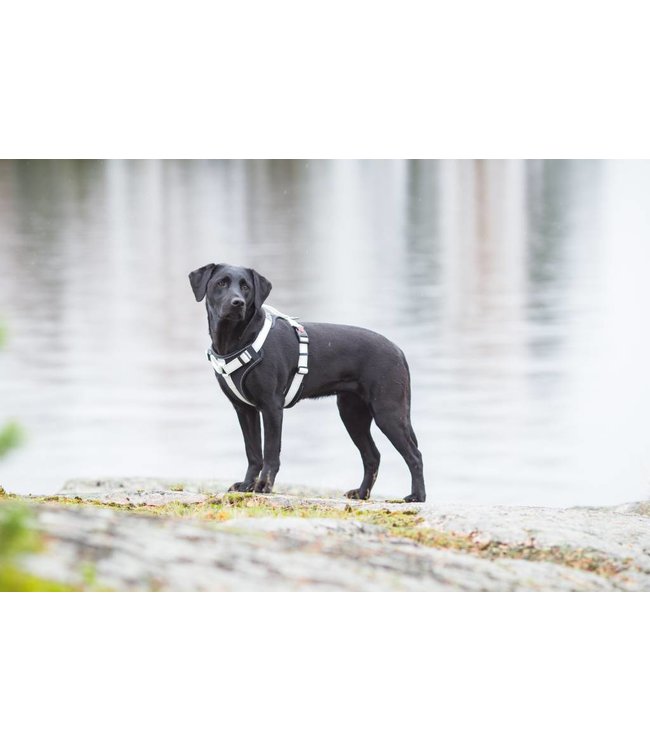 Rukka Pets - Hundegeschirr Solid black/white