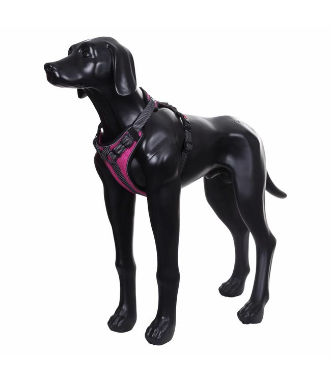 Rukka Pets - Hundegeschirr Star - Größe XL