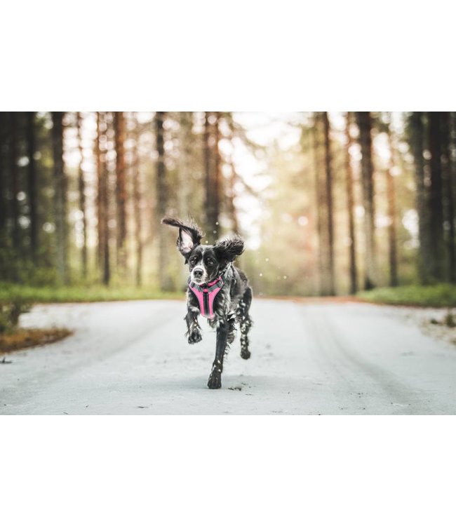 Rukka Pets - Hundegeschirr Solid pink