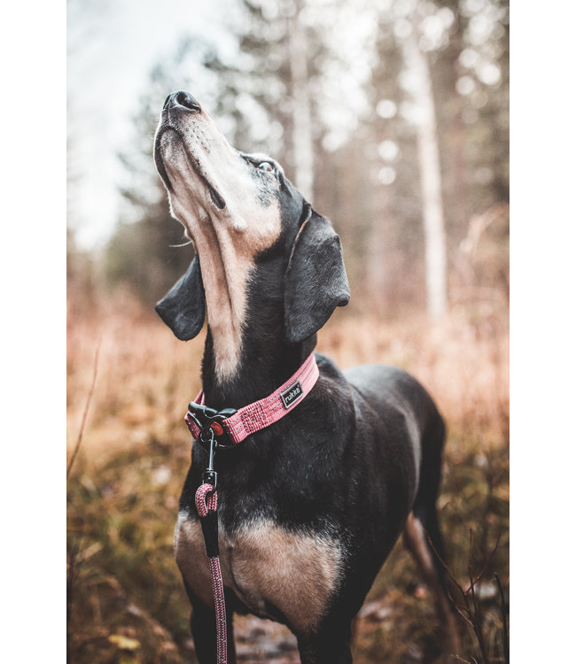 Rukka Pets - Hundehalsband Cosy - extrem weich
