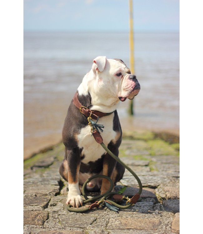 Flöckchens - Hundehalsband Green Hunter