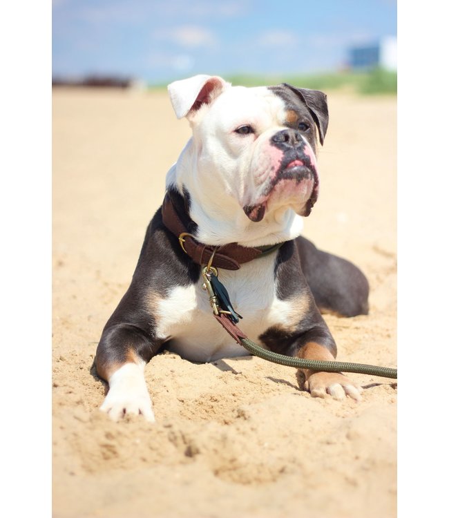 Flöckchens - Hundeleine Green Hunter