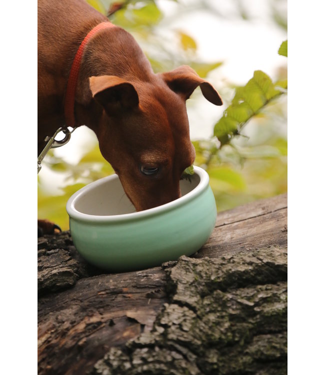 Flöckchens - Keramik Hundenapf Mint