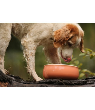 Keramik Hundenapf Apricot
