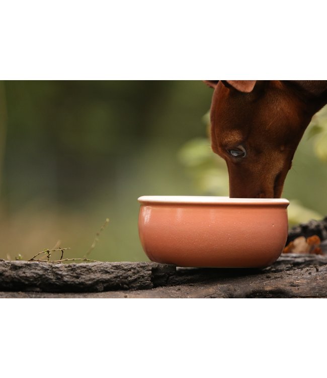 Keramik Hundenapf Apricot