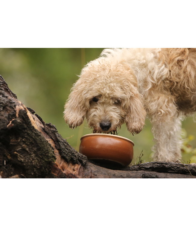 Flöckchens - Keramik Hundenapf Mahagoni