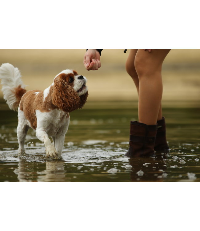 dubarry of Ireland - Ankle Boot Roscommon Black