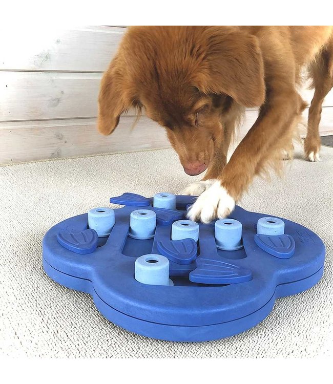 Nina Ottosson - Intelligenzspielzeug Dog Hide n' Slide - Level 2