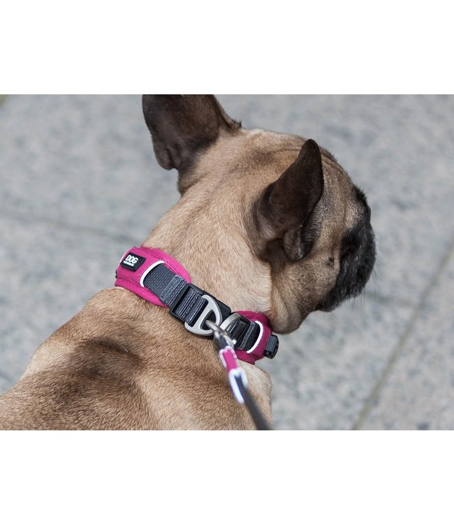 Dog Copenhagen - Hundehalsband Urban Explorer™ olive