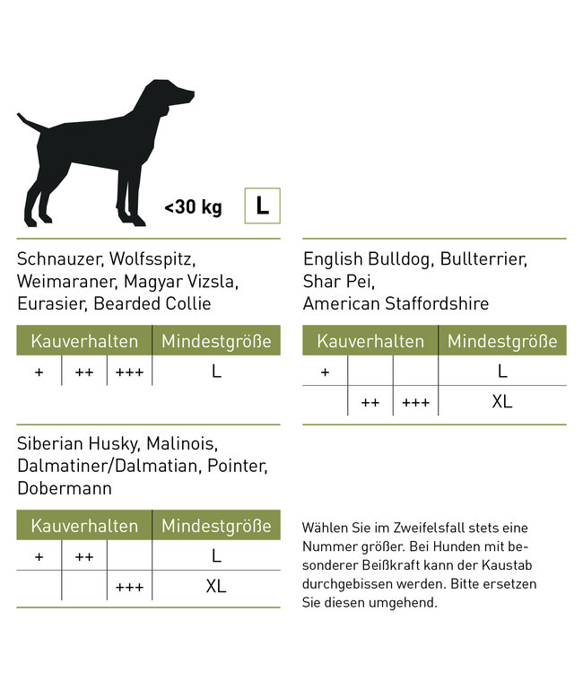 Olivenholz Kaustab XS - XL