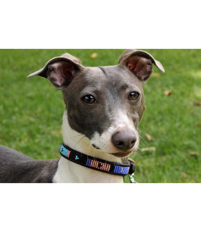 The Kenya Collection - Hundehalsband Malindi