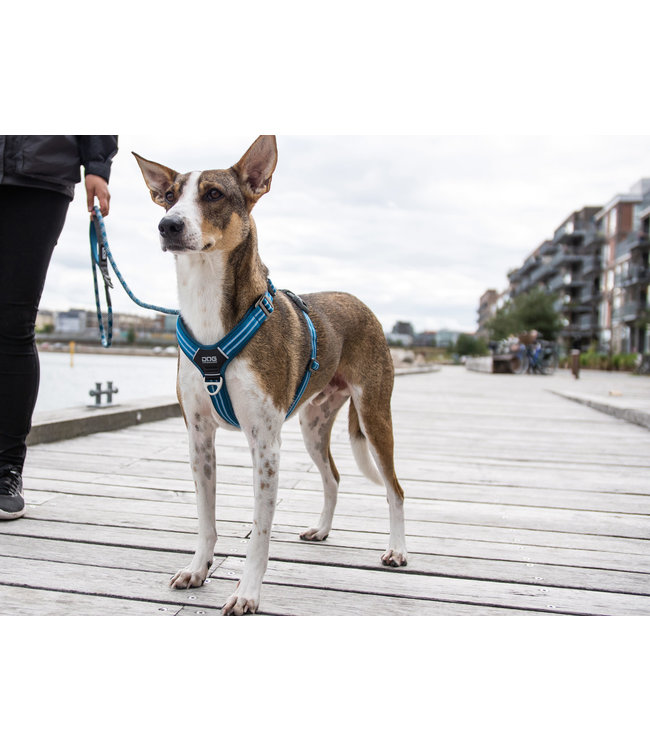 Dog Copenhagen - Hundegeschirr Comfort Walk Air™ ocean blue
