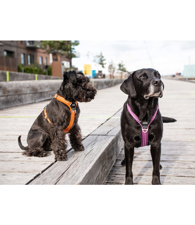 Dog Copenhagen - Hundegeschirr Comfort Walk Air™ wild rose