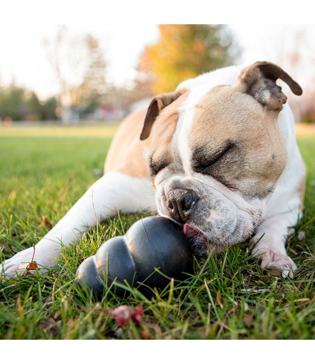 Kong - KONG Extreme aus Naturkautschuk
