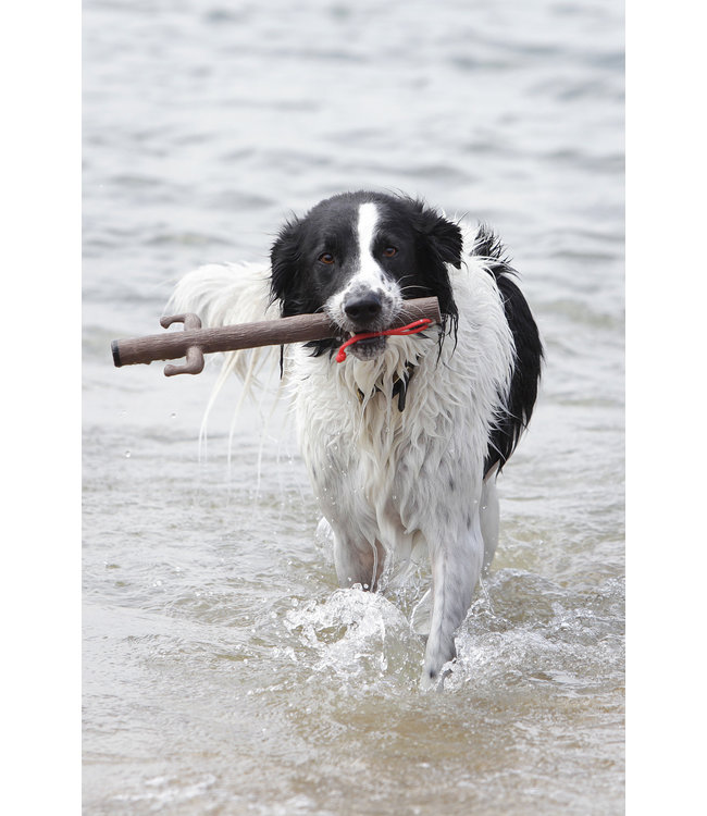 DOOG - Hundespielzeug Twigfoot