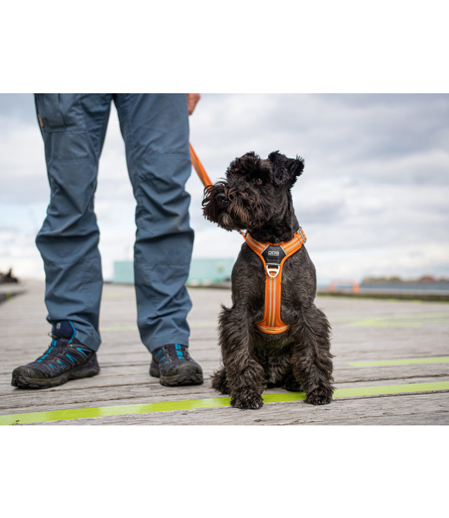 Dog Copenhagen - Hundegeschirr Comfort Walk Air™ orange sun