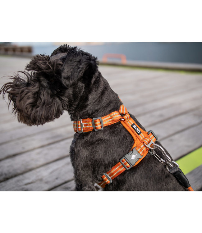 Dog Copenhagen - Hundegeschirr Comfort Walk Air™ orange sun