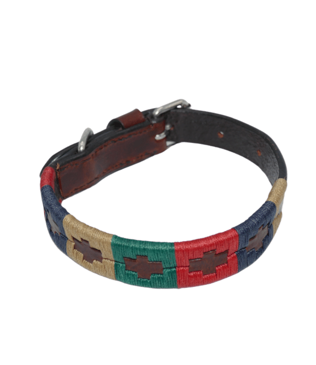 Hundehalsband Classic