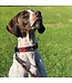 Kipita - Hundehalsband Classic