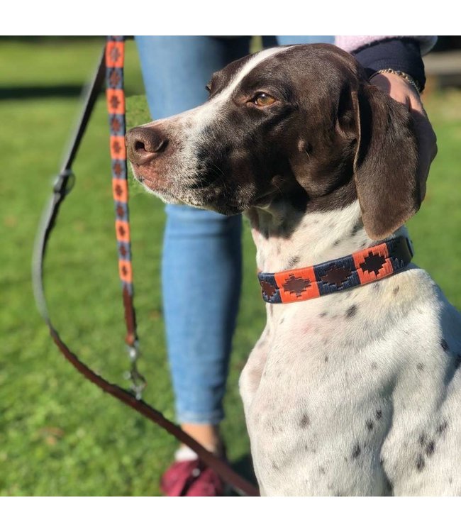 Hundehalsband Lively