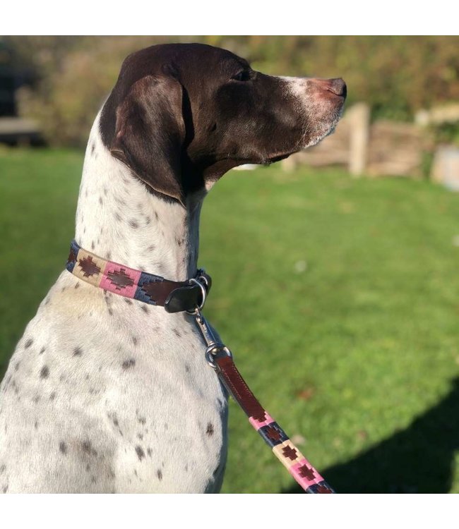 Flöckchens - Hundehalsband Gentle
