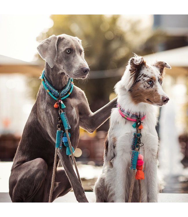 Dog with a Mission - Kette für Hunde Coco Beach