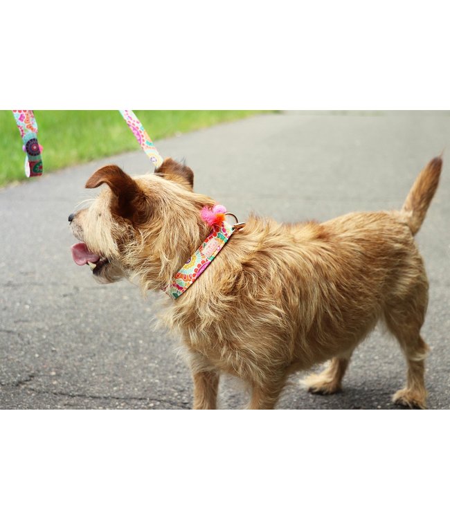 Pellina -  Hundeleine Ibiza Summer - Größe M