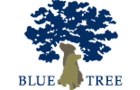 Blue Tree Dog -
