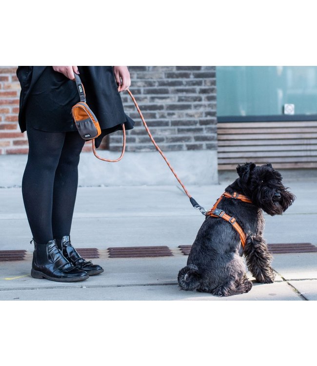 Dog Copenhagen - Hundegeschirr Comfort Walk Air™ Mocca