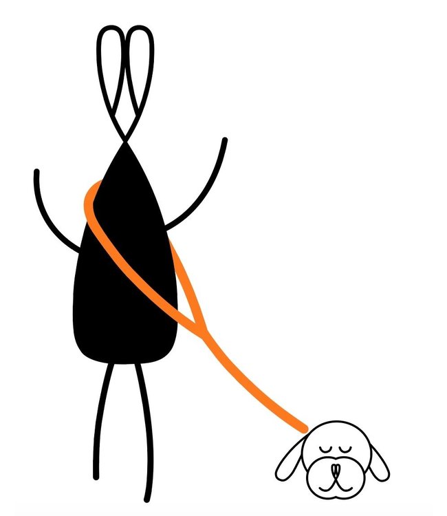 Lemolove - Hundeleine Crossbody FALLING FOR YOU - Braun