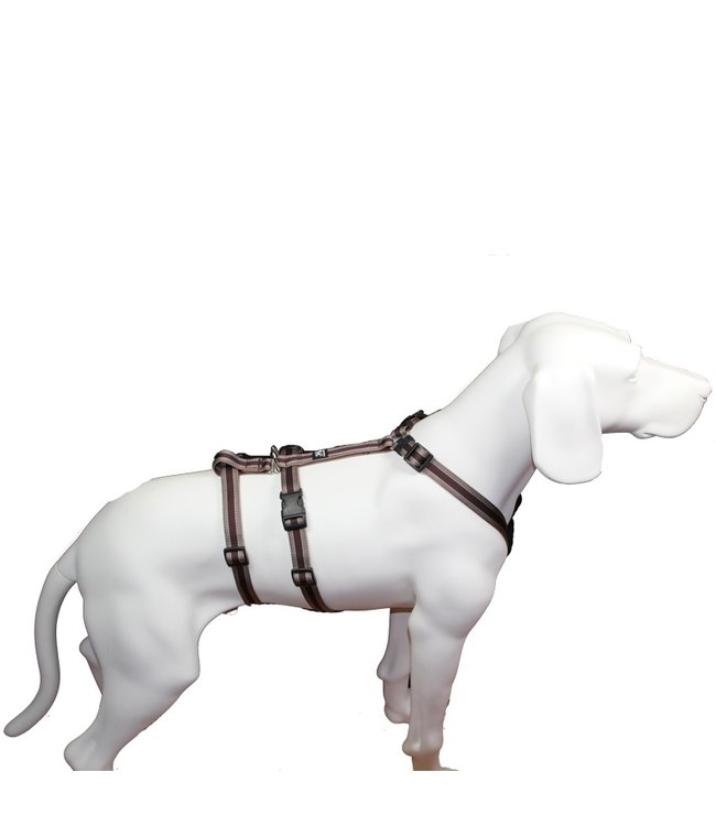 Feltmann - Hundegeschirr NoExit Sicherheitsgeschirr