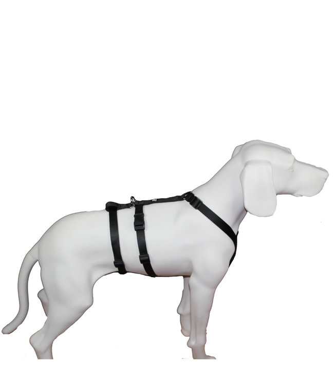 Feltmann - Hundegeschirr NoExit Sicherheitsgeschirr