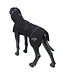 Rukka Pets - Hundemantel Hayton X - schwarz