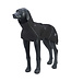 Rukka Pets - Hundemantel Hayton X - schwarz