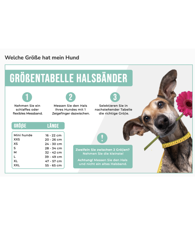 Dog with a Mission - Hippie Hundehalsband XS