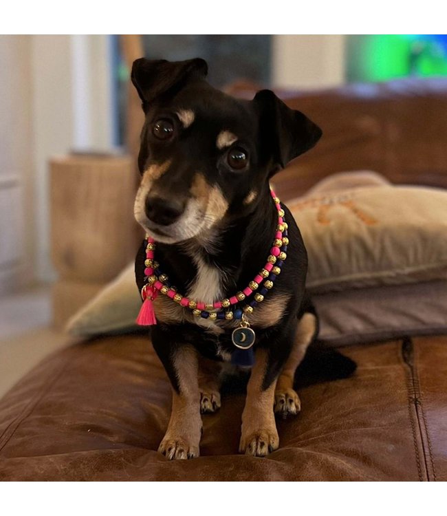 Dog with a Mission - Kette für Hunde Cindy - Größe L