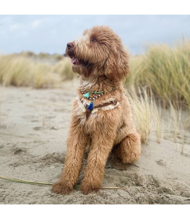 Dog with a Mission - Kette für Hunde Chrissy