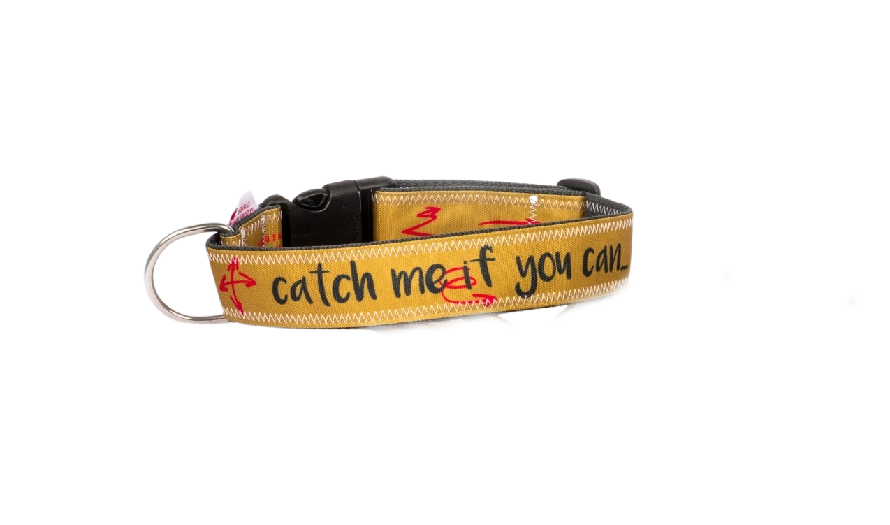 Hundehalsband Studio am Meer - L - 37-58 cm verschiedene Muster -  Flckchens Hundeladen