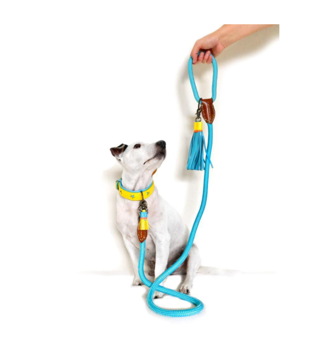 Dog with a Mission - Hundeleine Classic Blues in Größe S und L