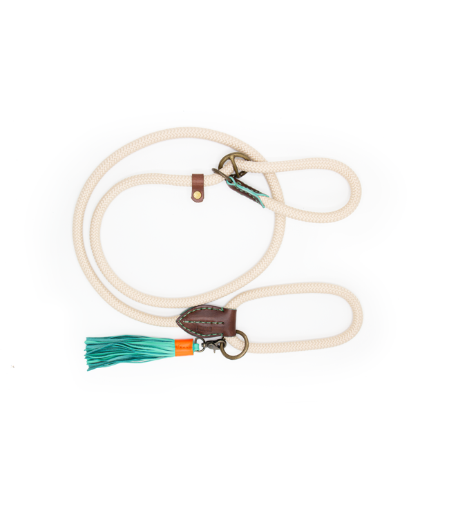 Dog with a Mission - Retriever Long John Schlupfleine