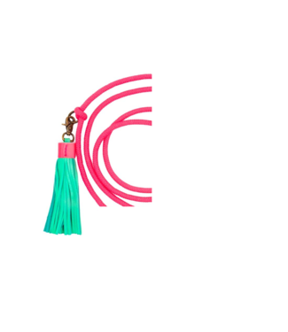 Dog with a Mission - Retriever Long John Schlupfleine