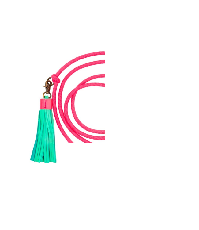 Dog with a Mission - Retriever Long John Schlupfleine