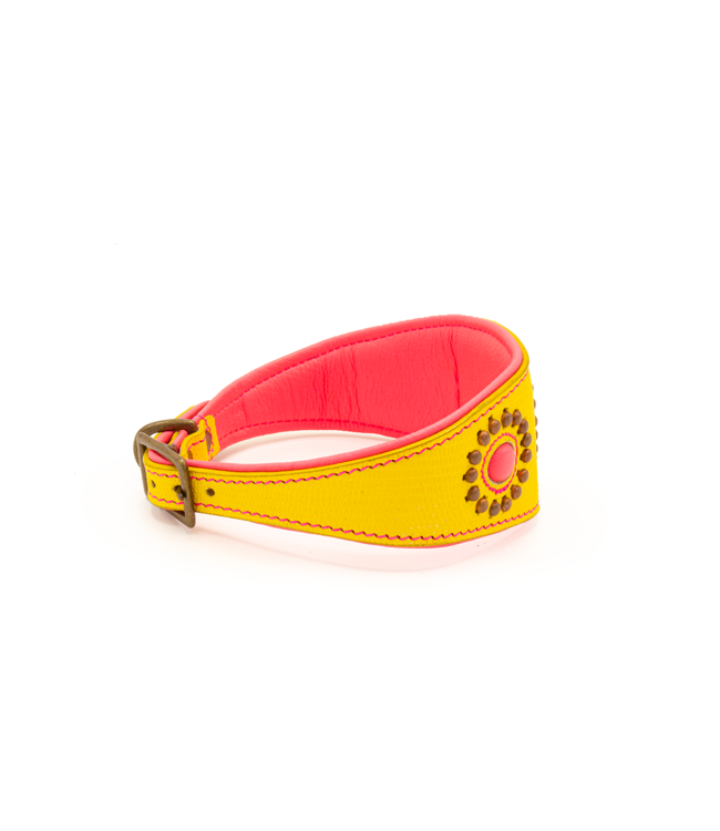 Dog with a Mission - Windhundhalsband