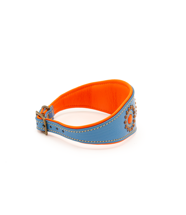 Dog with a Mission - Windhundhalsband